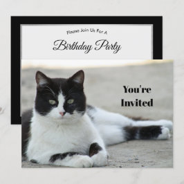 Cat Black and White Tuxedo Photo Birthday Inbjudningar