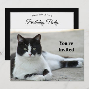 Cat Black and White Tuxedo Photo Birthday Inbjudningar