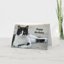 Cat Black and White Tuxedo Photo Birthday Kort