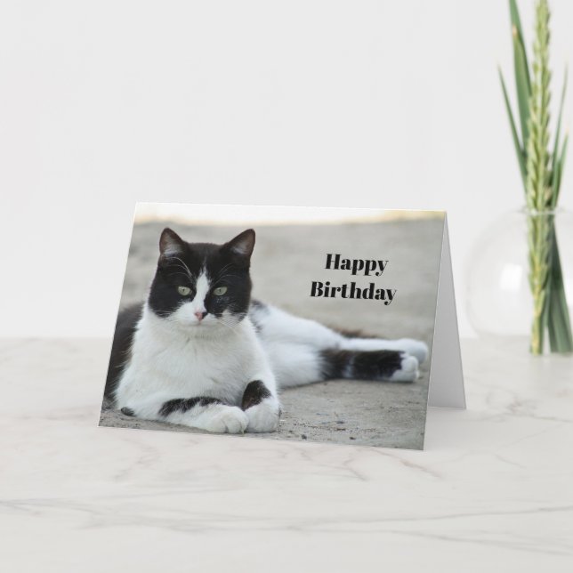 Cat Black and White Tuxedo Photo Birthday Kort (Framsida)