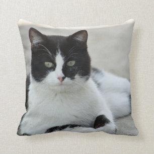 Cat Black and White Tuxedo Photo Kudde