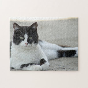 Cat Black and White Tuxedo Photo Pussel