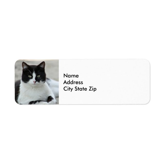 Cat Black and White Tuxedo Photo Returadress Etikett (Framsidan)