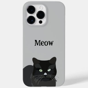 Cat Black Cat