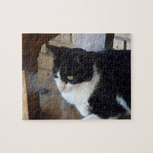 Cat-Black och White Pussel
