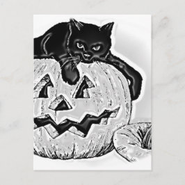 Cat Black Orange Pumpkin Halloween Vykort
