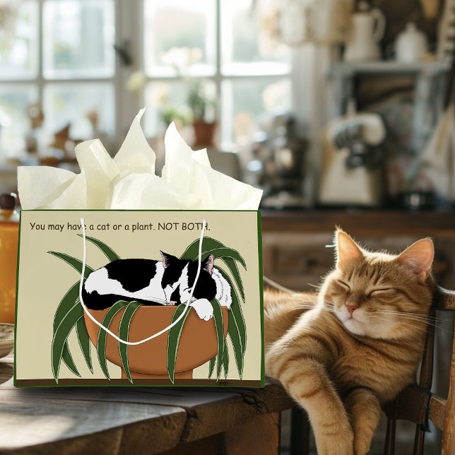 Cat Black White Plant Funny (Skapare uppladdad)