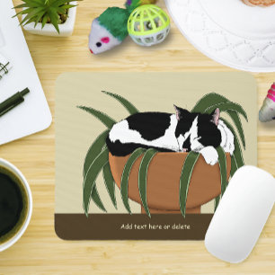 Cat Black White Plant Funny Musmatta