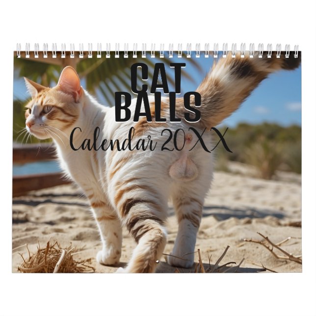 Cat Bollar 2026 - Lustigt kalender (Omslag)