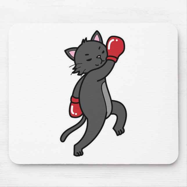 Cat Boxing Musmatta (Framsidan)