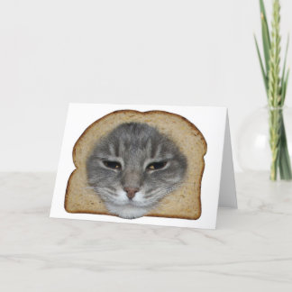 Cat Breader Kort