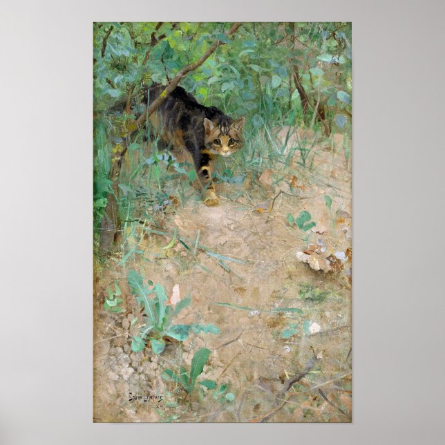 Cat, Bruno Liljefors Poster (Framsidan)