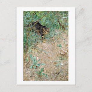 Cat, Bruno Liljefors Vykort