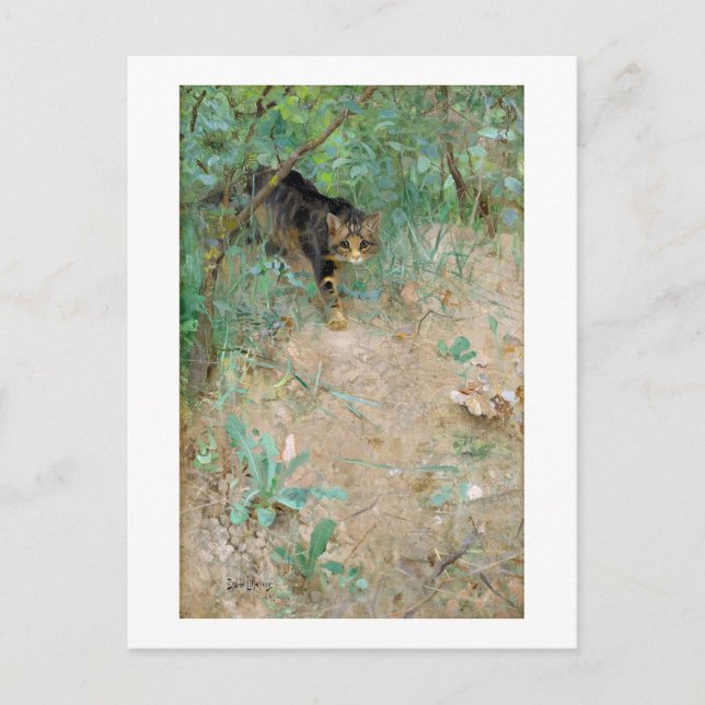 Cat, Bruno Liljefors Vykort (Framsida)