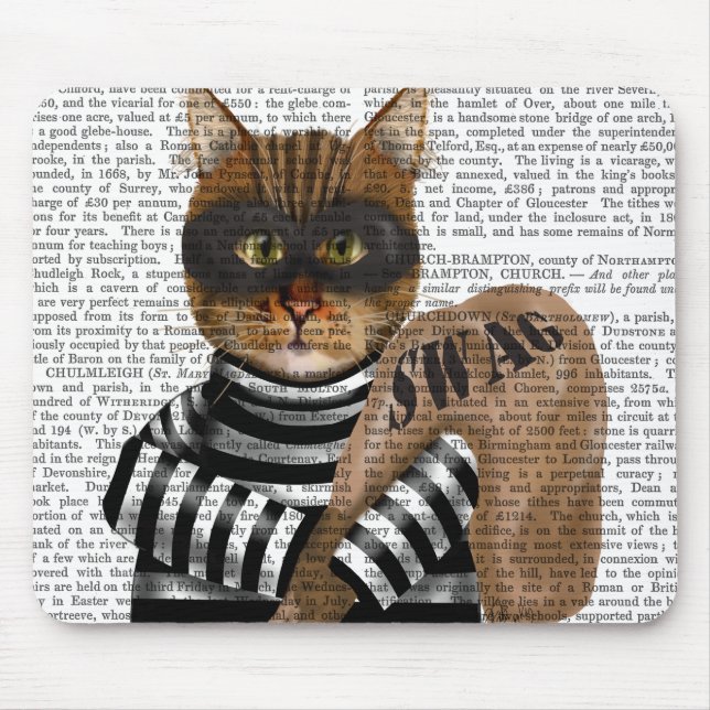 Cat Burtjuv Musmatta (Framsidan)