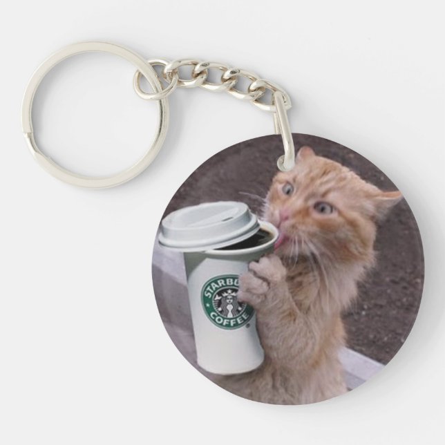 Cat Cafe (Framsidan)