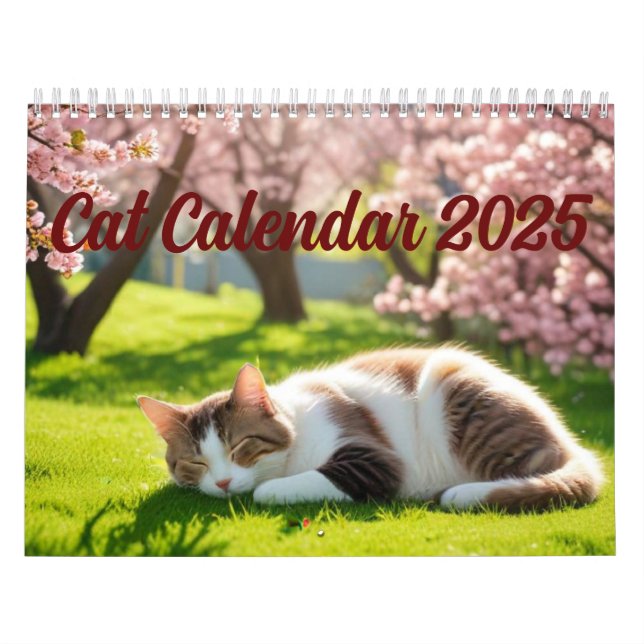 Cat Calendar 2025 Kalender (Omslag)
