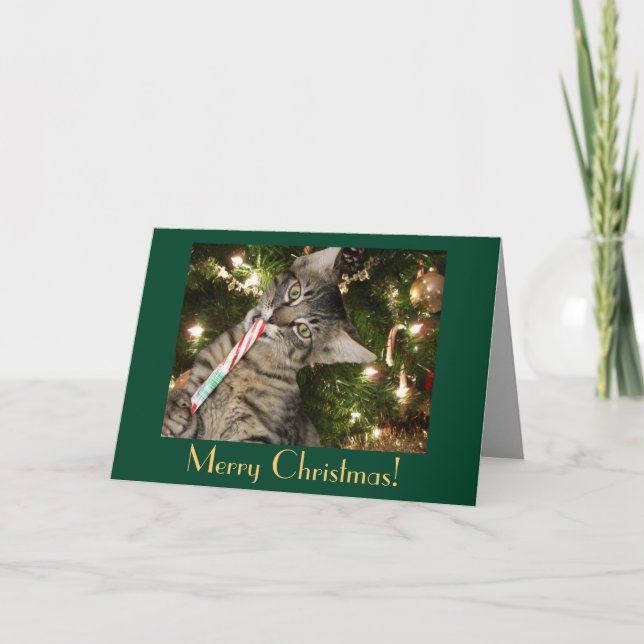 Cat Candy cane Blank julkort Helgkort (Framsida)