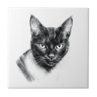 Cat Charcoal Kakelplatta
