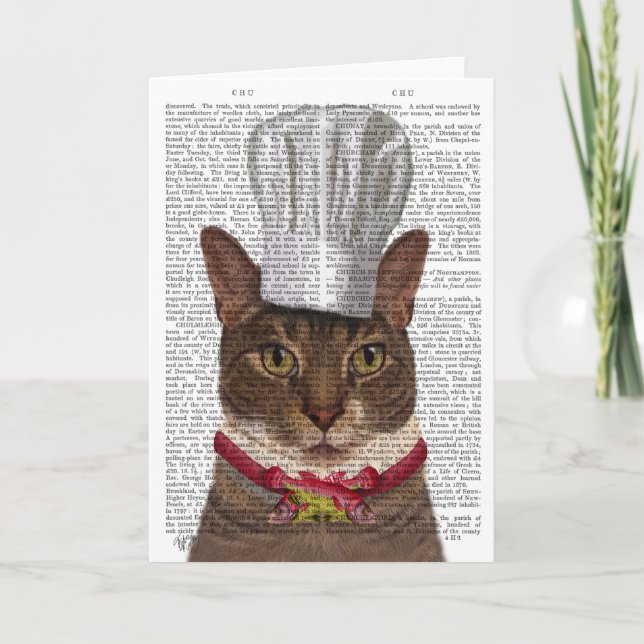 Cat Chef Kort (Framsida)