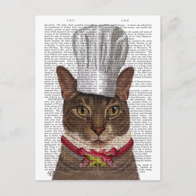 Cat Chef Vykort (Framsida)