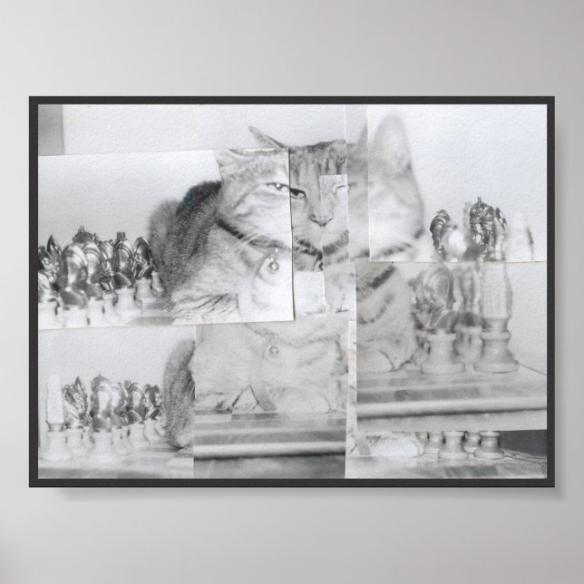 Cat Chess Poster (Framsidan)