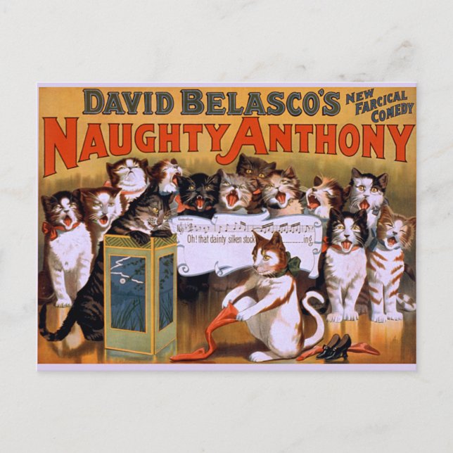 Cat Chorus! - vykort (Framsida)