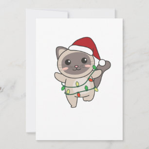 Cat Christmas Winter Animals Cats Julkort