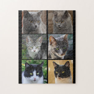Cat collage kattunge gör svartvit grått tabby pussel