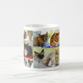 Cat Collage Mugg