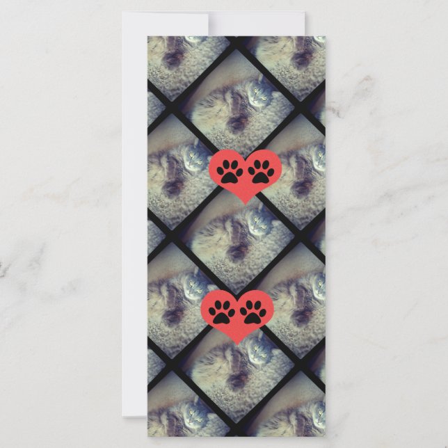 Cat Collage with Tassavtrycks by Shirley Taylor (Framsida)