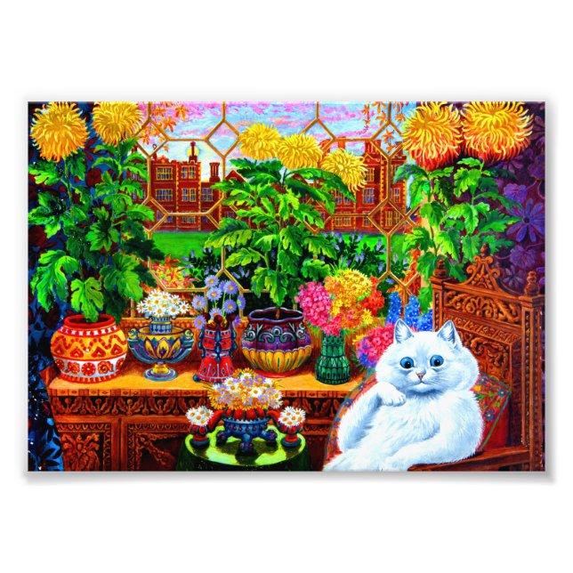 Cat College Master Fototryck (Framsidan)