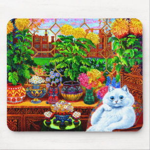 Cat College Master Musmatta