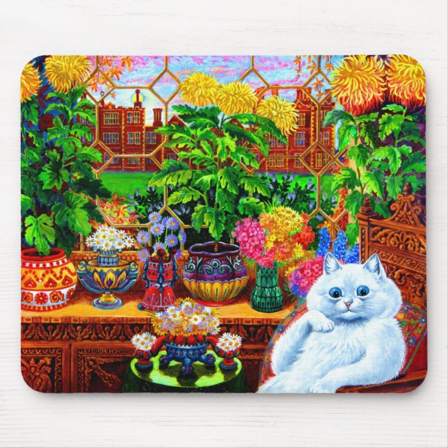 Cat College Master Musmatta (Framsidan)