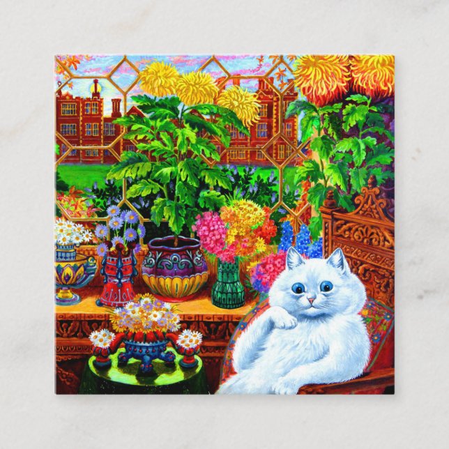 Cat College Master Tilläggskort (Framsida)