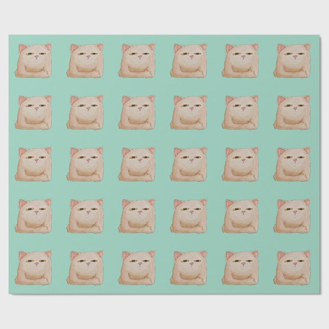 Cat Control Presentpapper (Platt)