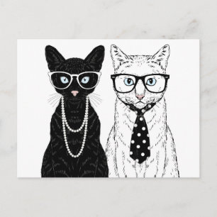 Cat Couple Vykort
