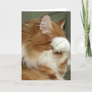 Cat Covering Ögon Kort