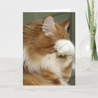 Cat Covering Ögon Kort