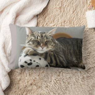 CAT CUDDLE BOYFRIEND TABBY PILLOWS LUMBARKUDDE