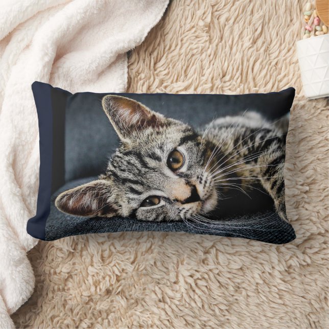 CAT CUDDLE CUTE KITTEN PILLOWS LUMBARKUDDE (Filt)