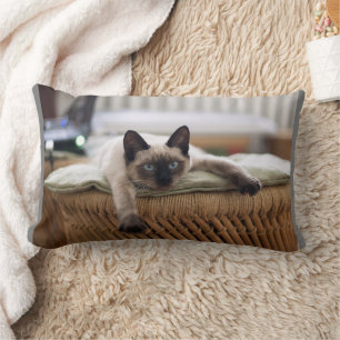 CAT CUDDLE SIAMESE PILLOWS LUMBARKUDDE