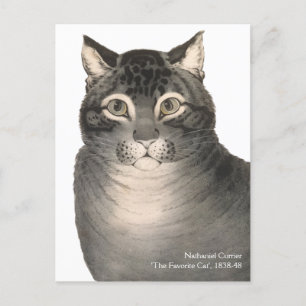 Cat Cute Viktorian Fine Art Vykort