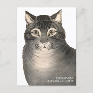 Cat Cute Viktorian Fine Art Vykort