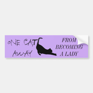 CAT DAM BILDEKAL