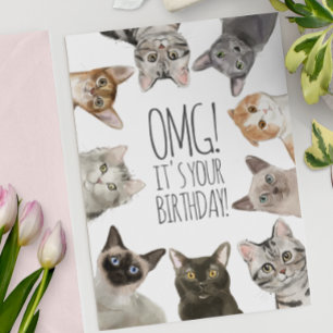 Cat Dam Birthday OMG! Det är din födelsedag. Kort