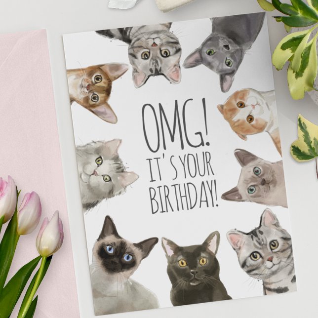 Cat Dam Birthday | OMG! Det är din födelsedag. Kort (Skapare uppladdad)