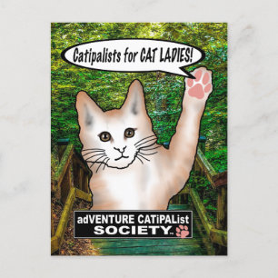 Cat Dam Cat-vykort Vykort