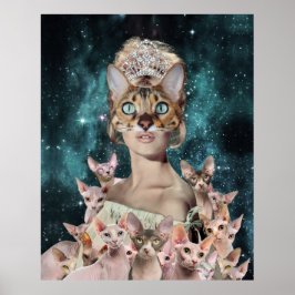 Cat Dam Poster