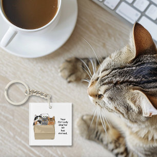 Cat Dam Starter Kit